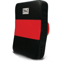Everlast Punch and Kick Shield